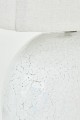 D2587-2.jpg